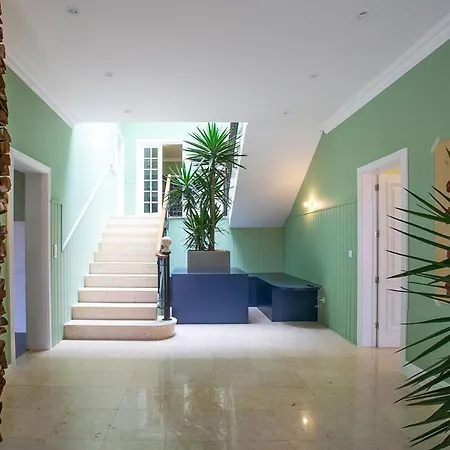 Salt Lips - Azores Surf Experience אכסניה *