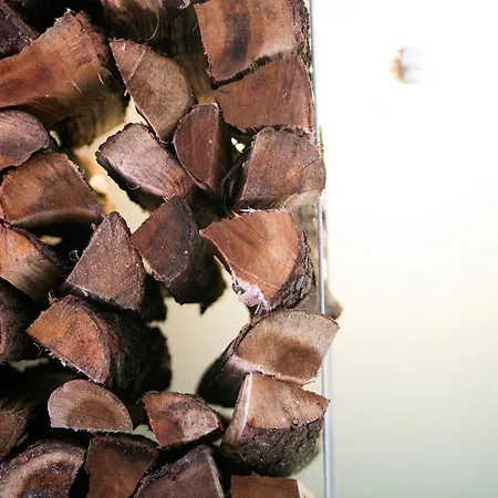 Hostel Salt Lips - Azores Surf Experience *