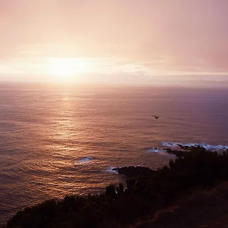 Salt Lips - Azores Surf Experience Ostello