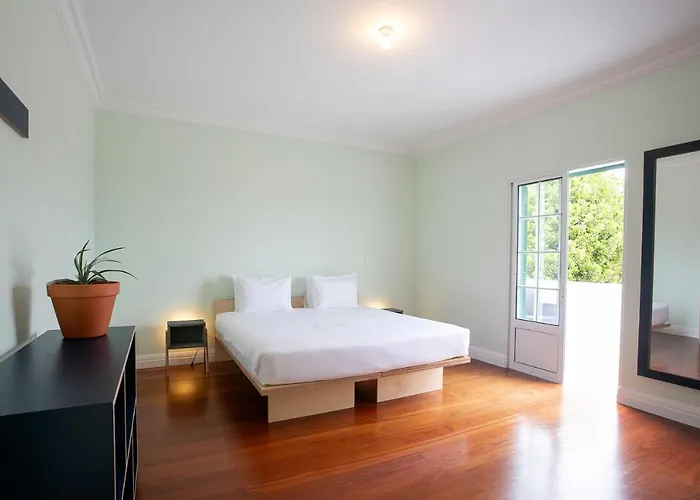 Salt Lips - Azores Surf Experience Albergue Ponta Delgada