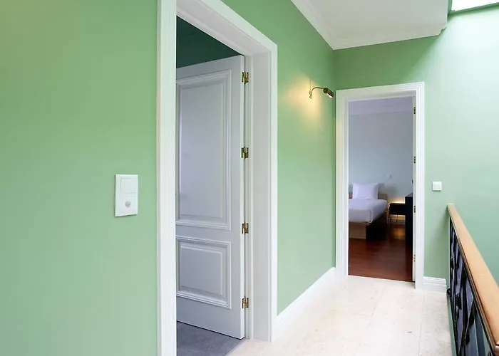 Salt Lips - Azores Surf Experience