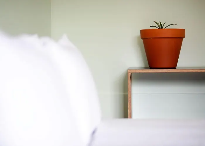 Auberge de jeunesse Salt Lips - Azores Surf Experience *