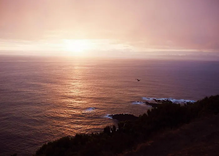 Salt Lips - Azores Surf Experience Hostel